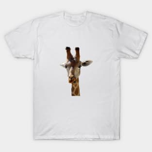 Giraffe Portrait Close up 2 T-Shirt